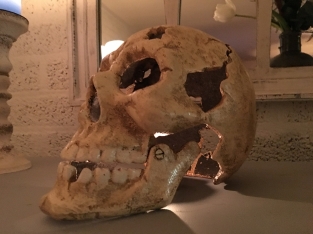 Grote Anatomische Schedel - Gietijzer - White-Rust